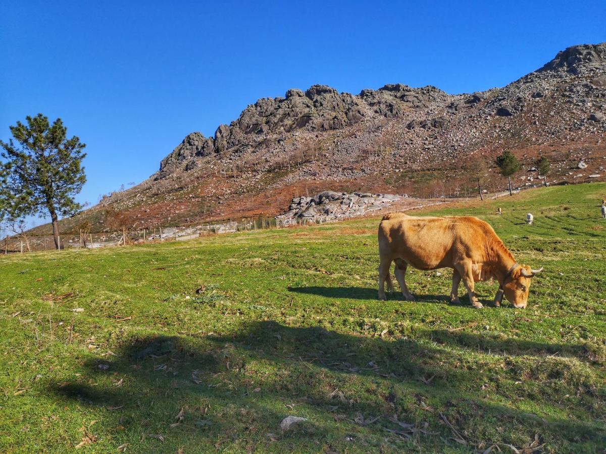 Hogar Gallan Gondomar Dış mekan fotoğraf