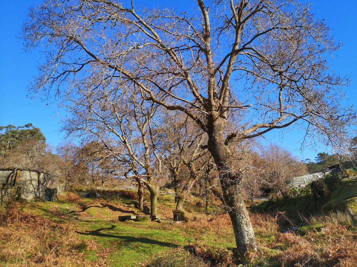 Hogar Gallan Gondomar Dış mekan fotoğraf