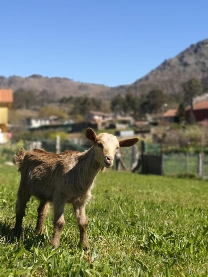 Hogar Gallan Gondomar Dış mekan fotoğraf